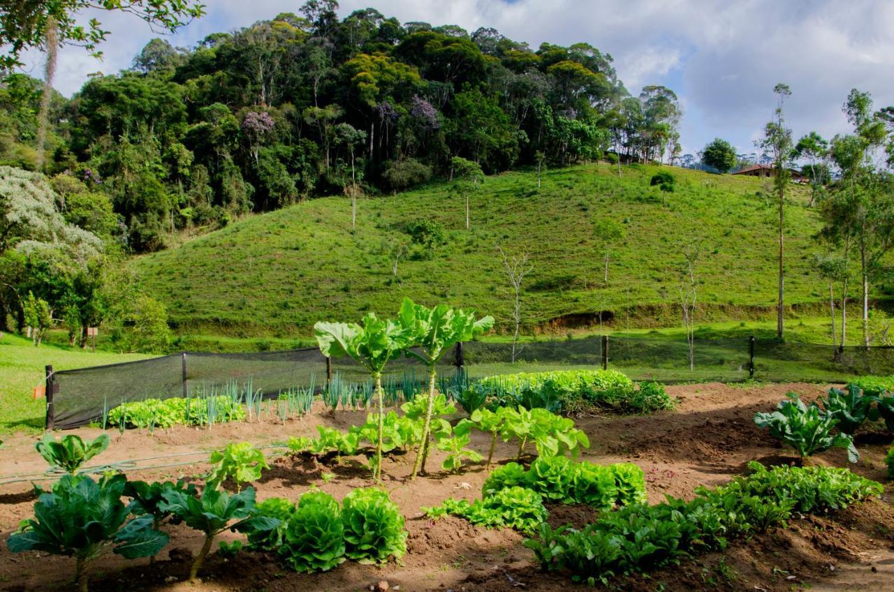 Hotel Fazenda Pedra Grande Visconde De Maua Kültér fotó