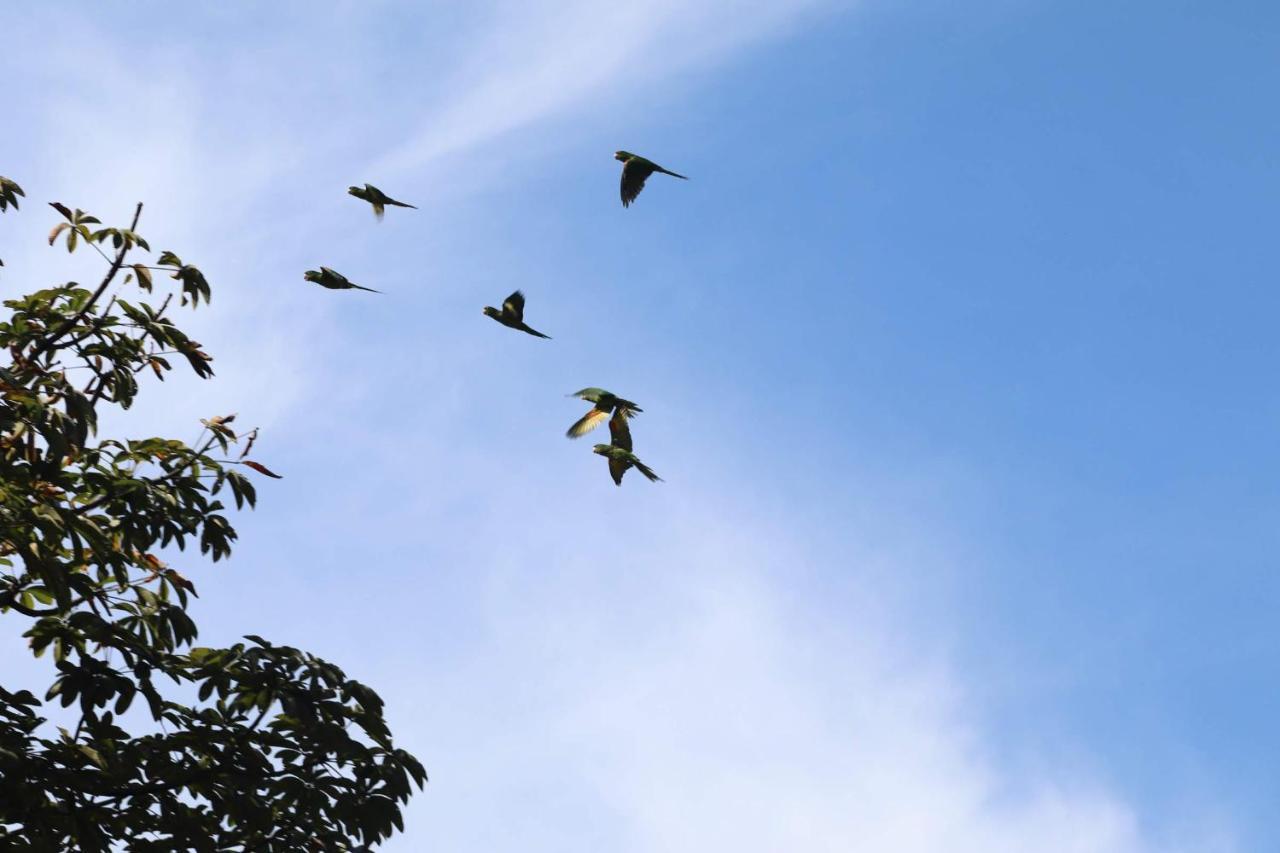 Hotel Fazenda Pedra Grande Visconde De Maua Kültér fotó